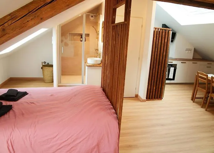 Appartement De Charme A Nancy