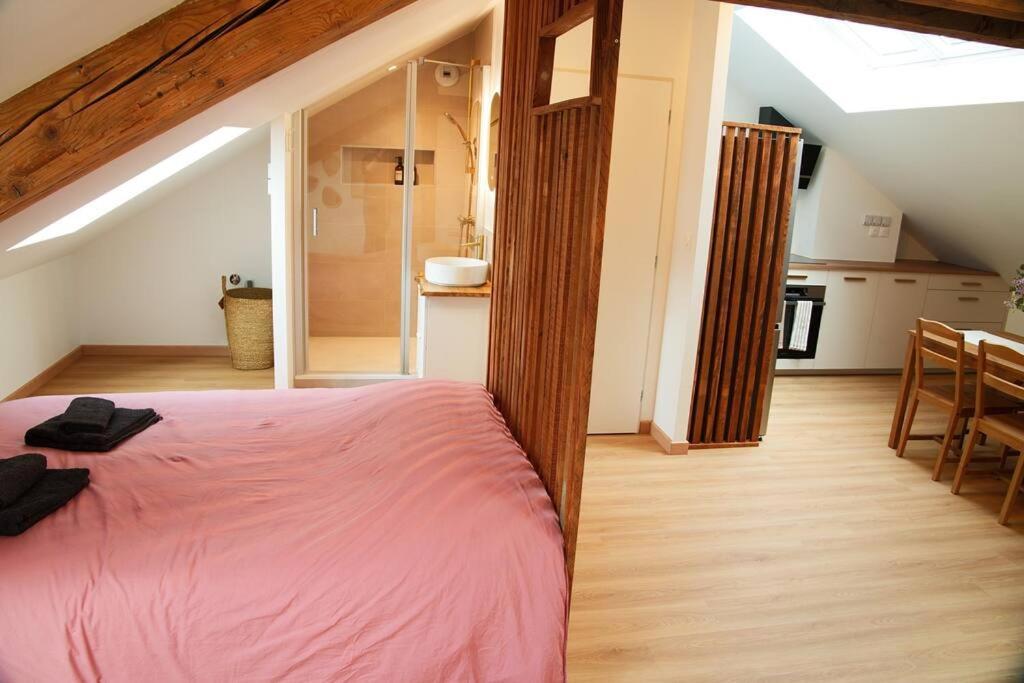 Appartement De Charme A Nancy