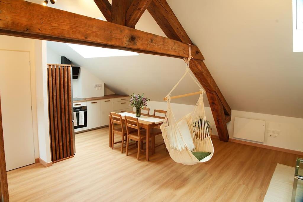 Appartement De Charme A Nancy