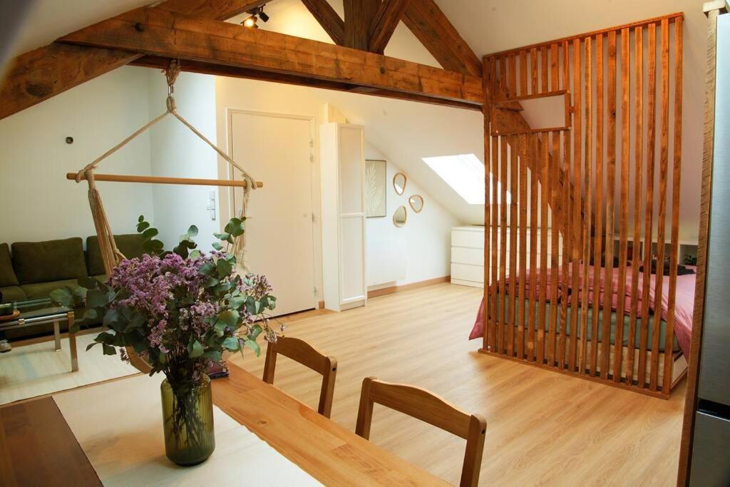 Apartment De Charme A Nancy